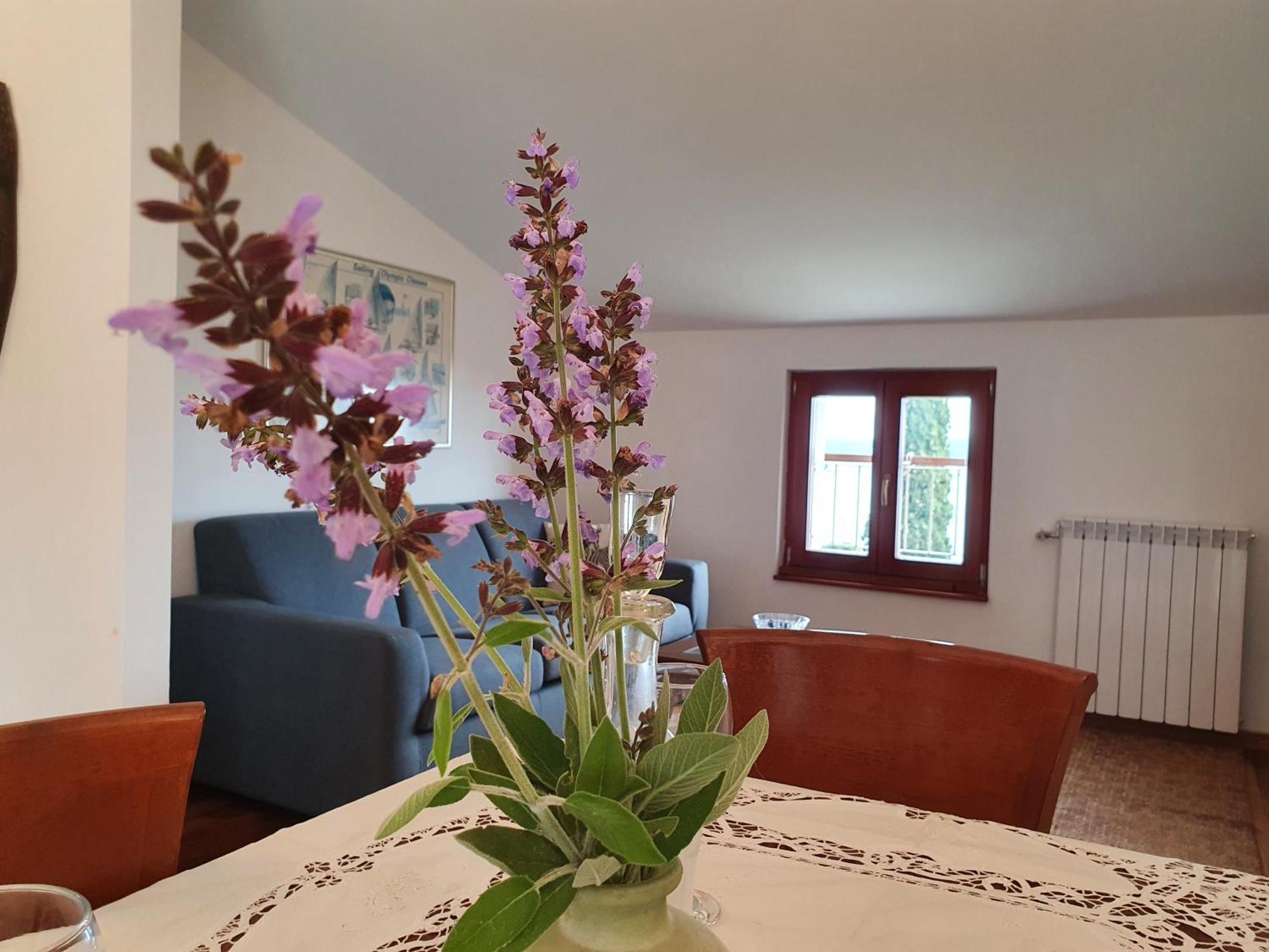 Rosa * Portorož